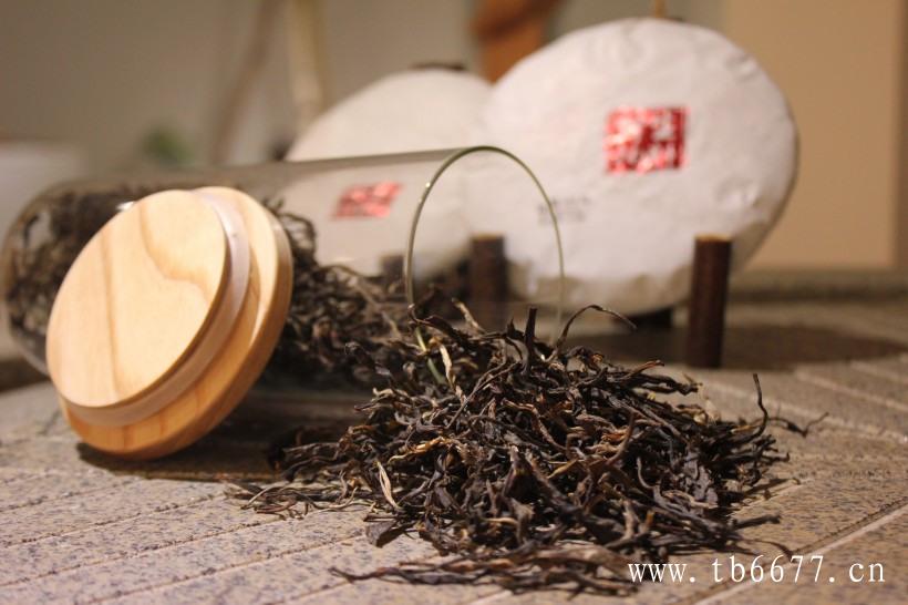 白毫银针属于白茶，与毛尖茶是有着典型差异的！